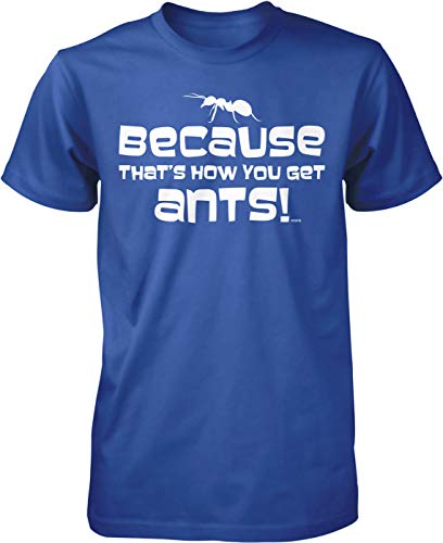 NOFO_02811_MensTee_XXL_Royal