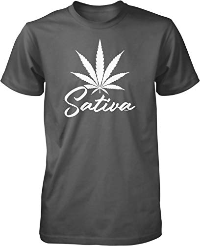 NOFO_01916_MensTee_XXL_Char