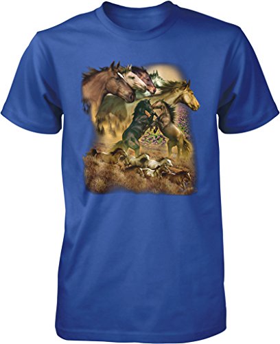 NOFO_00737_MensTee_XXL_Royal