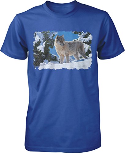 NOFO_00426_MensTee_XXL_Royal