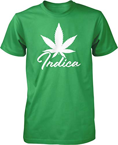 NOFO_01913_MensTee_XXL_Kelly