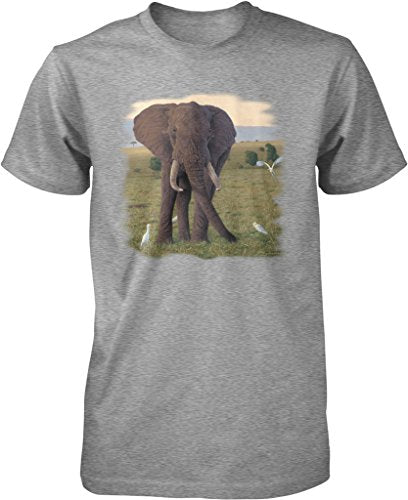 NOFO_00446_MensTee_XXL_LtGray