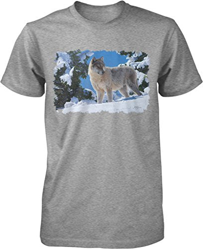 NOFO_00426_MensTee_XXL_LtGray