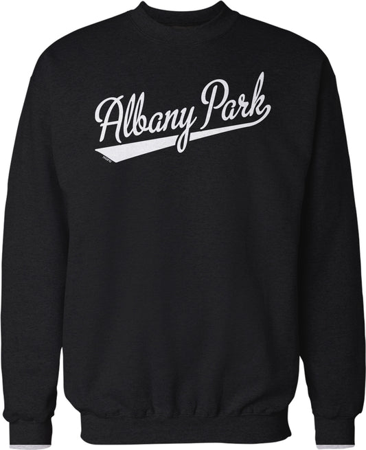 A black sweatshirt with the text "Albany Park" printed on it in white lettering.