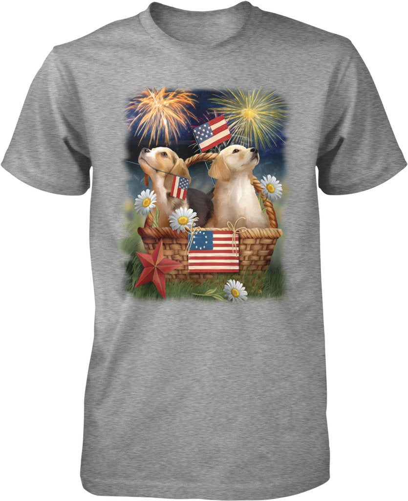 NOFO_00936_MensTee_XXL_LtGray