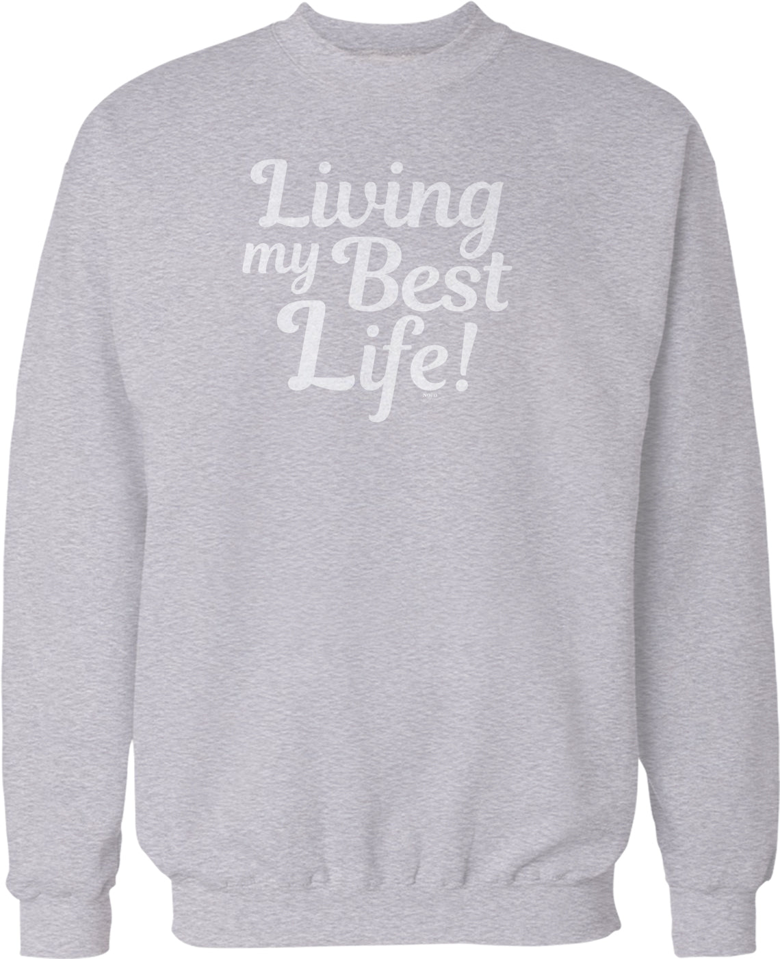 A gray sweatshirt with the text "Living my Best Life!" printed on it.